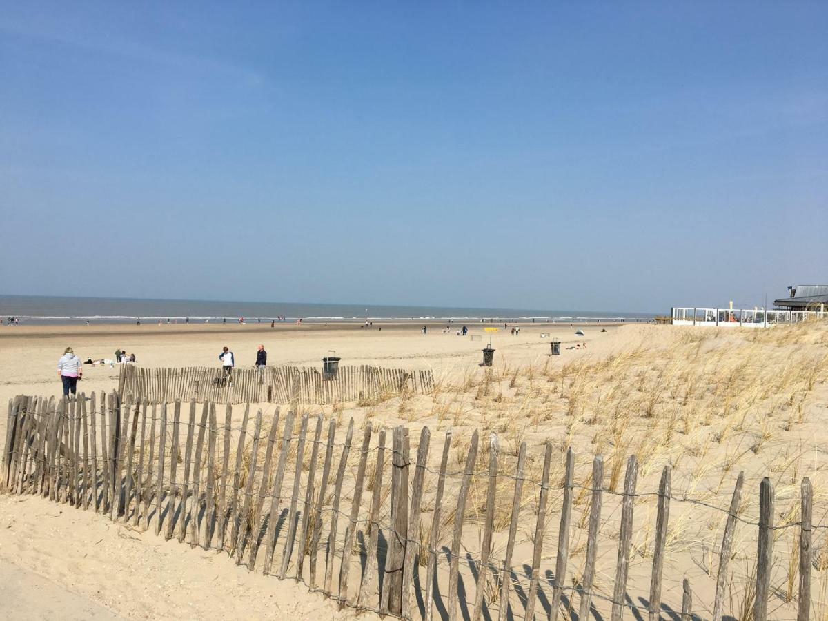 Amsterdam Beach Home 4 Zandvoort Exterior foto